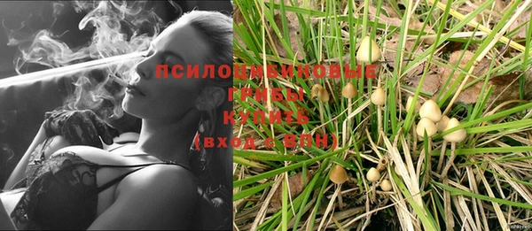 гидропоника Пестово