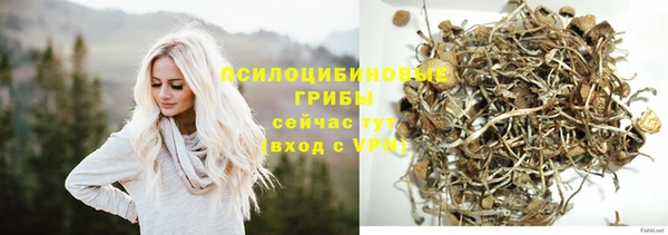 прущая мука Осинники