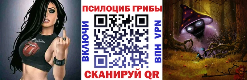 Купить где  Заозёрск  Псилоцибиновые грибы Psilocybe 
